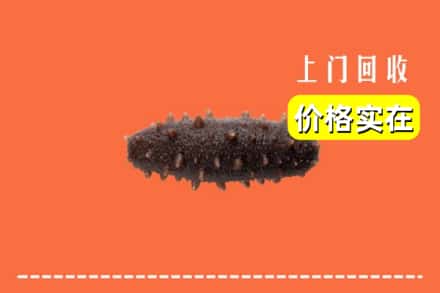 三亚崖州区回收海参