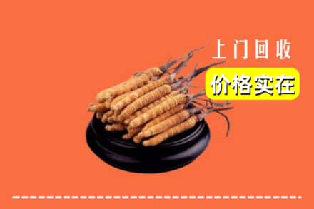 三亚崖州区回收冬虫夏草