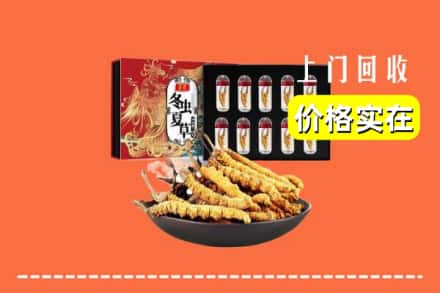 三亚崖州区回收虫草