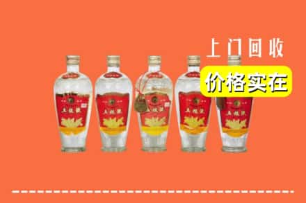 三亚崖州区回收老五粮液